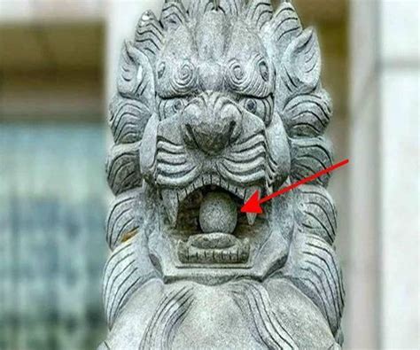 看到烏龜代表什麼 廟前石獅子